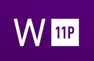 Windows 11 Professional