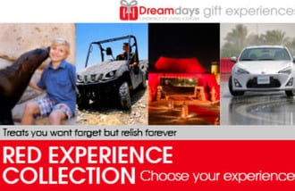 Dreamdays Red Experiences gift card