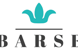 Barse Jewelry gift card