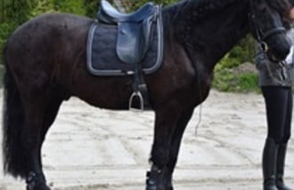 Pensjonat Enklawa gift card