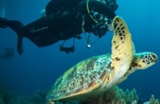 CN Adriatic gift card