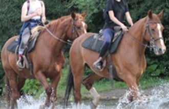 Ranczo w Dolinie gift card