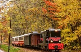 Piaseczyńsko - Grójecka Kolej Wąskotorowa gift card