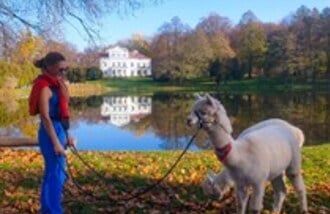 Dilusiowe Alpaki gift card