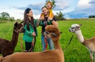 Alpaka u Bedenaka gift card