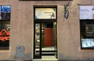 Kino 7D MAX gift card