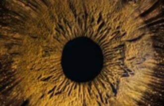 A-EYE Gallery gift card