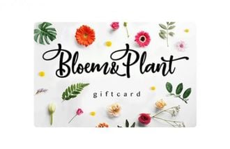 bloem-plant